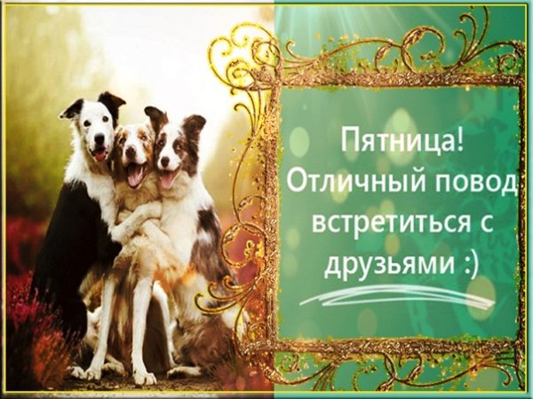 С пятницей друзья