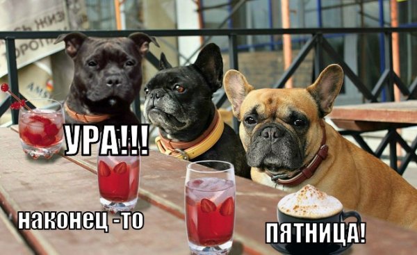 Наконец то пятница