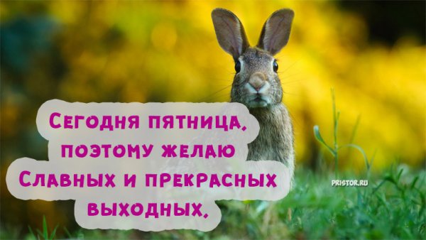 Сегодня уже пятница