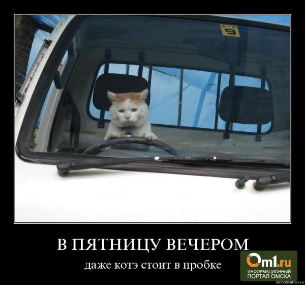 Прокладка между рулем и сиденьем