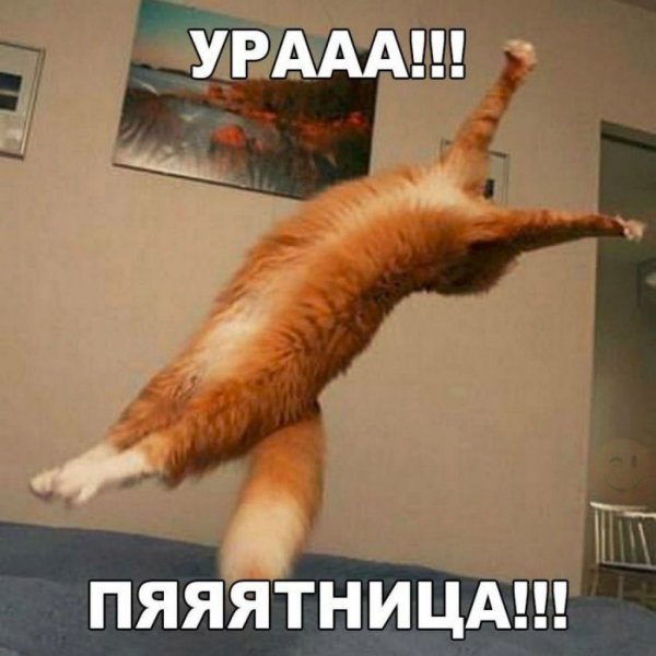 Ура пятница фото
