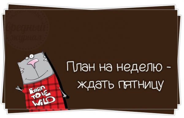 План на понедельник ждать пятницу