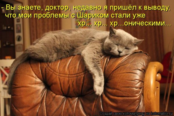 Понедельник день тяжелый кот