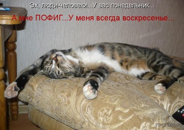 Воскресенье приколы