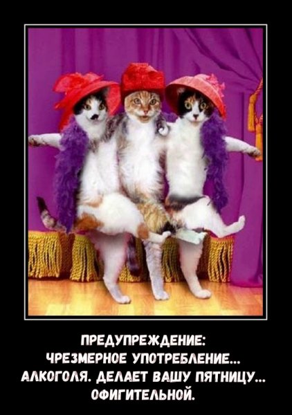 Шутки про пятницу