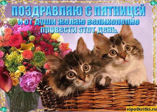 Открытки с пятницей