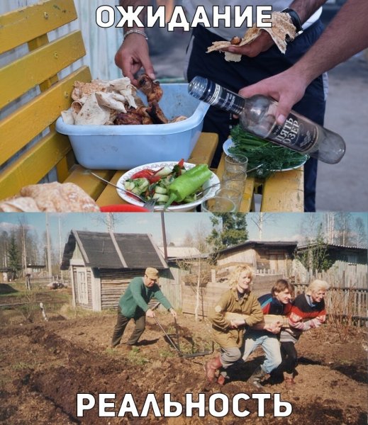 Пятница дача