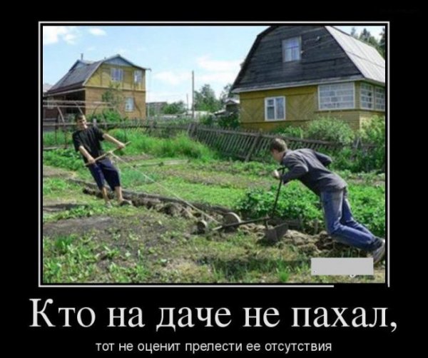 Да прикол