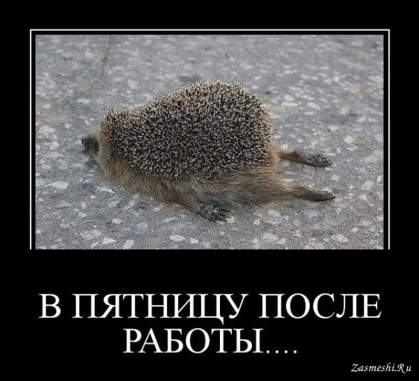 В пятницу после работы приколы