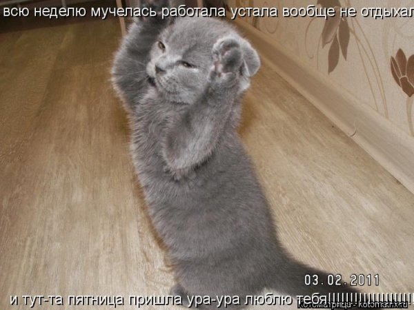 Устала пятница ура