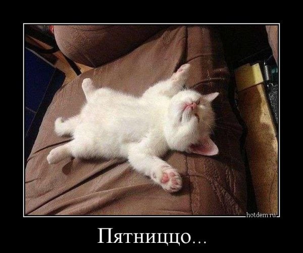 Конец рабочей недели