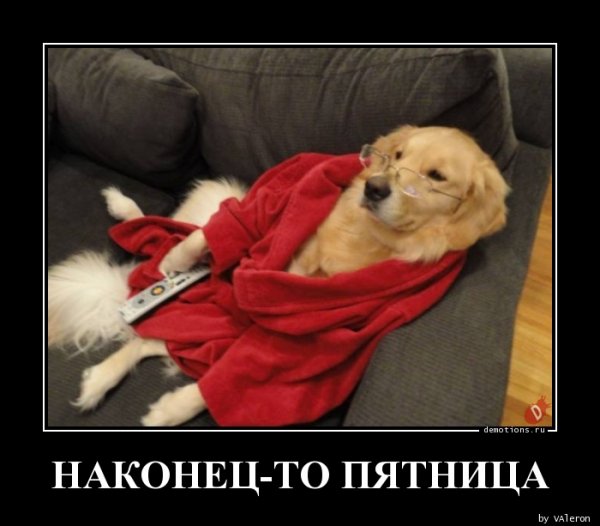 Наконец то пятница прикольные
