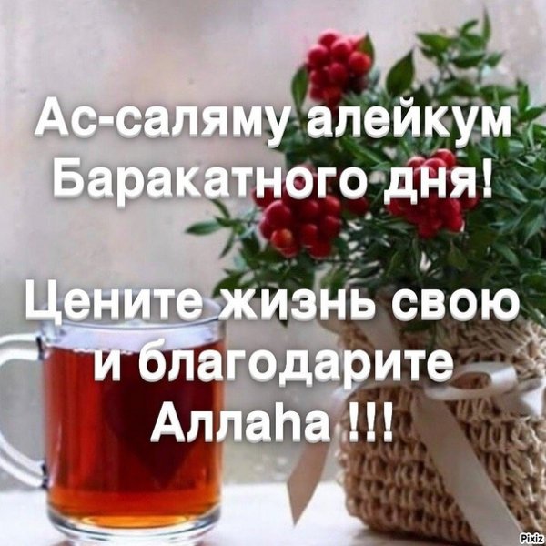 Доброе утро баракатного дня