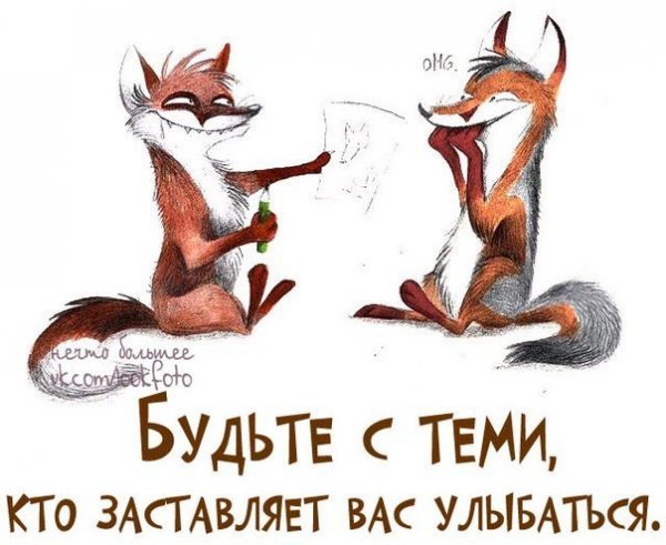 Лисы с надписями