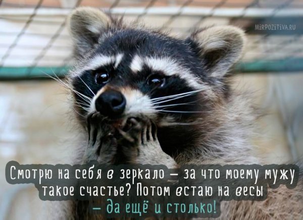 Доброе утро пятницы картинки прикольные смешные