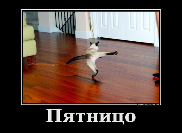 Пятничные демотиваторы