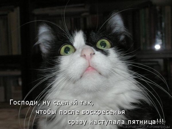 Пятница воскресенье