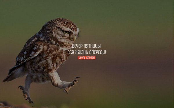 Вечер пятницы