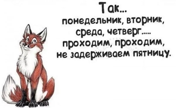 Смешные высказывания про вторник