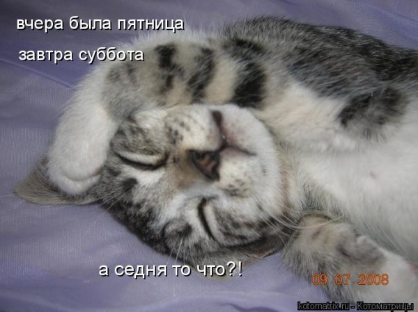 Вчера была пятница