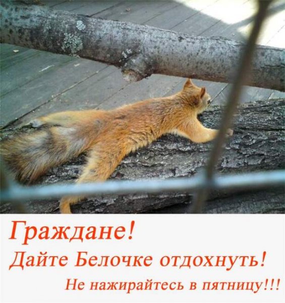 Наконец пришла пятница