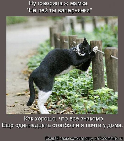 Пятница завтра выходной