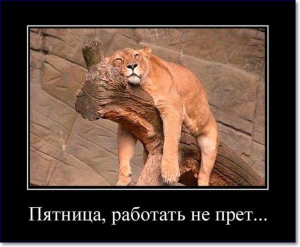 Пятница работа