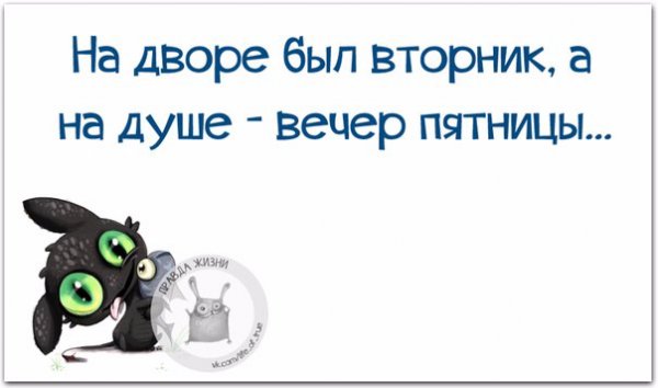 Фразы про вторник смешные