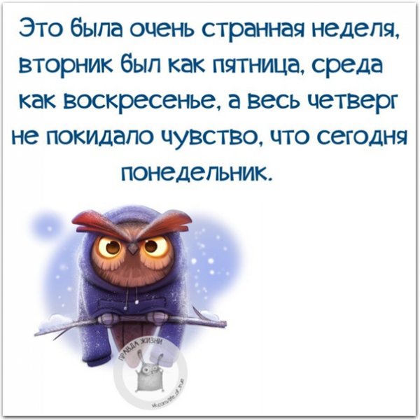 Правда жизни юмор