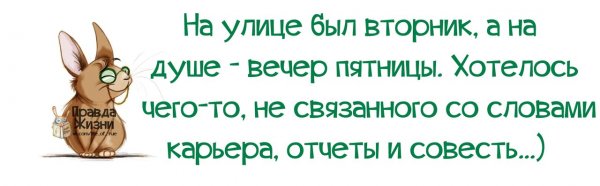 Анекдоты про вторник смешные в картинках