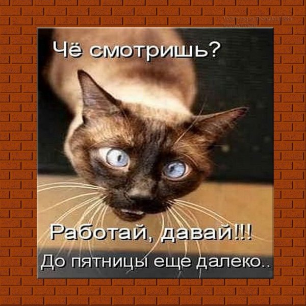 Вторник это маленькая пятница