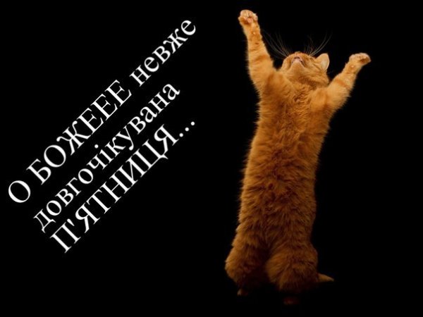 Здравствуй пятница наконец-то