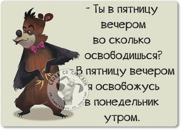 Афоризмы про пятницу прикольные