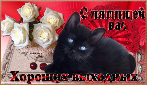 Пожелания на пятницу