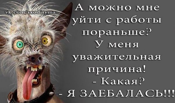 Пятница с работы домой приколы