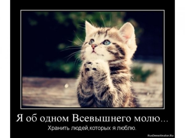 Отпустите пораньше с работы пятница