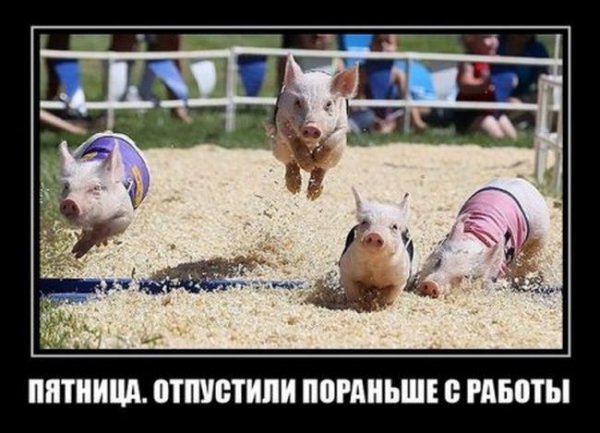 Когда отпустили с работы пораньше