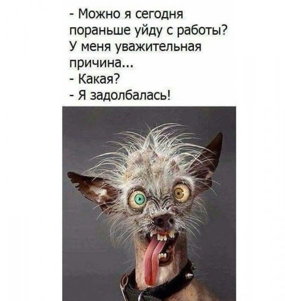 Пятница пораньше с работы