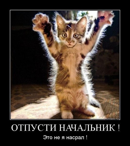 Пятница море