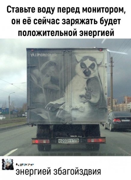 С пятницей картинки смешные