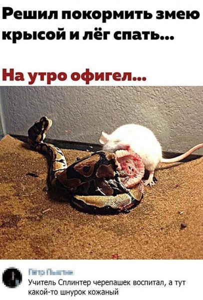 Завтра пятница Мем