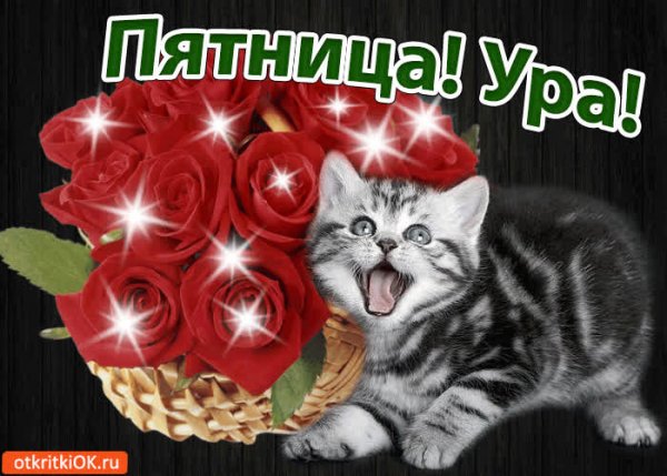 Чудесной пятницы