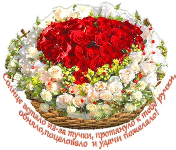 Цветы шикарный букет для королевы