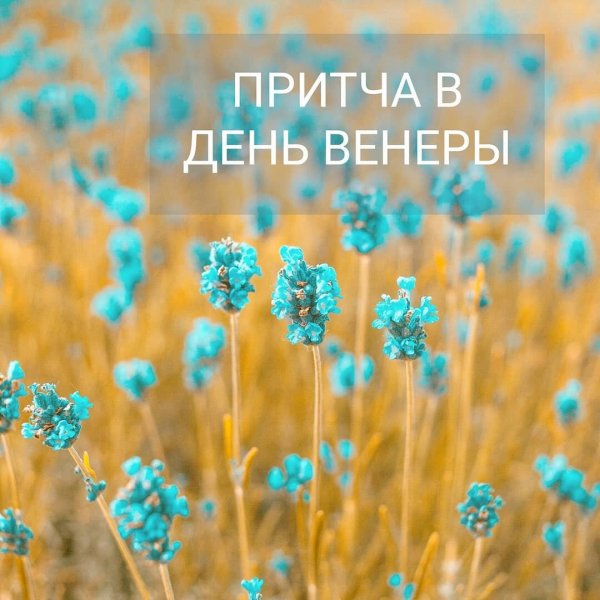Пятница день Венеры день красоты