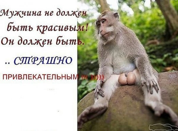 Анекдоты про пятницу в картинках
