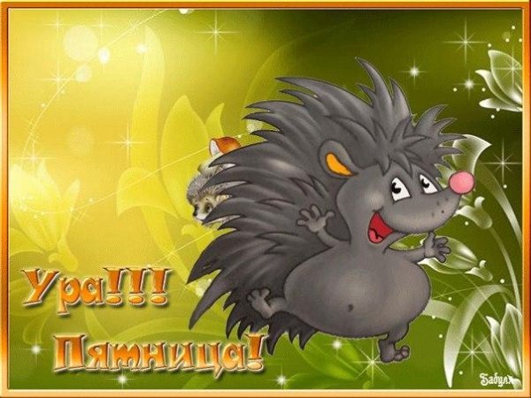 Ежик пятница