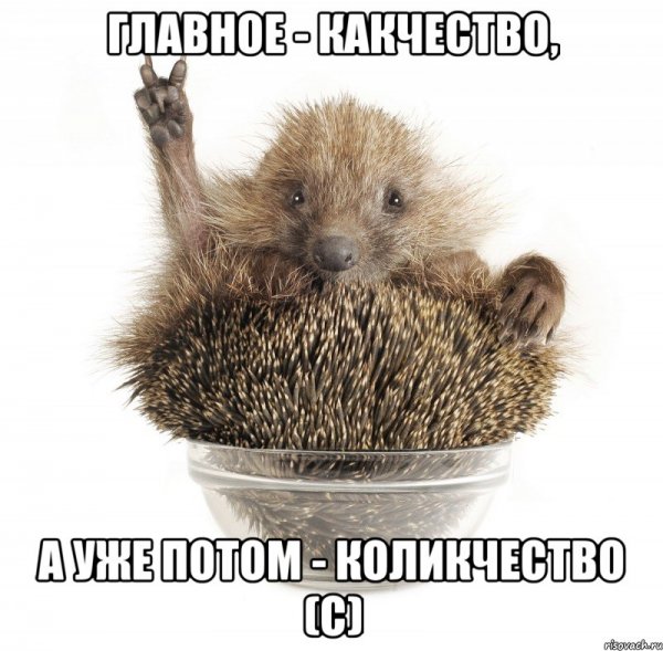 Еж Мем