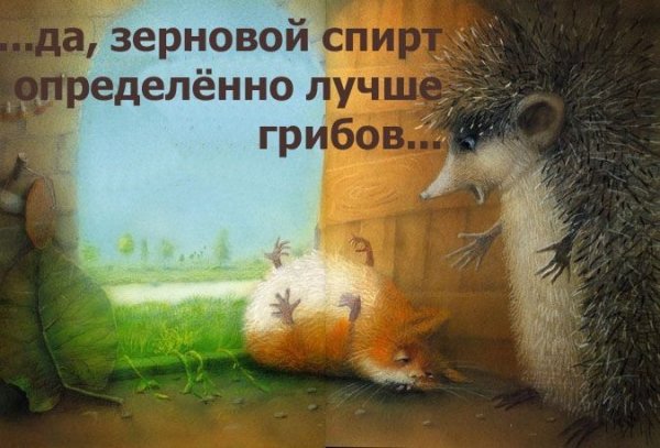 Доброе утро понедельника Ежик