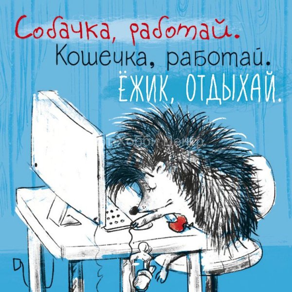 Ежик не болей