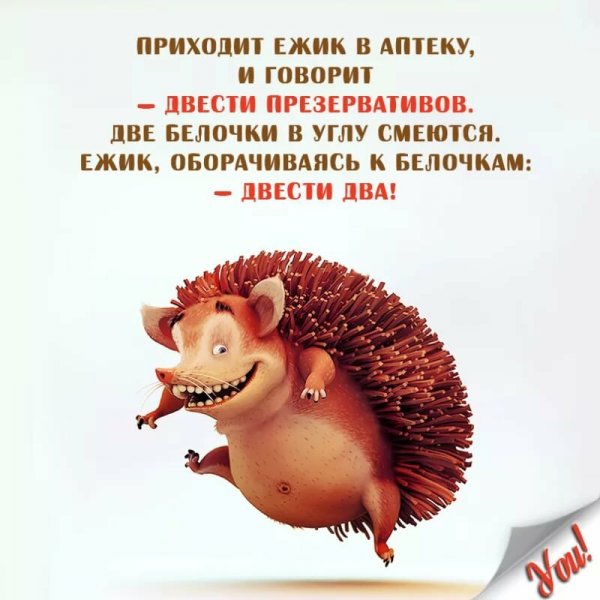 Ежик цитаты